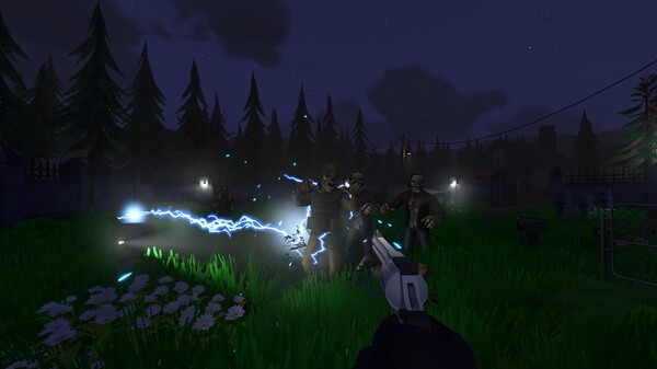 z1.jpg